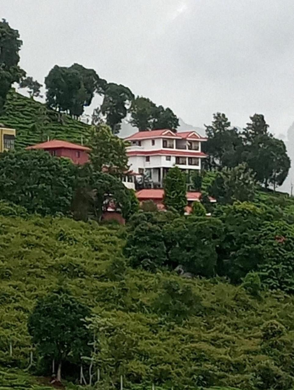 The Royale Ridge Hotel Kotagiri Kültér fotó