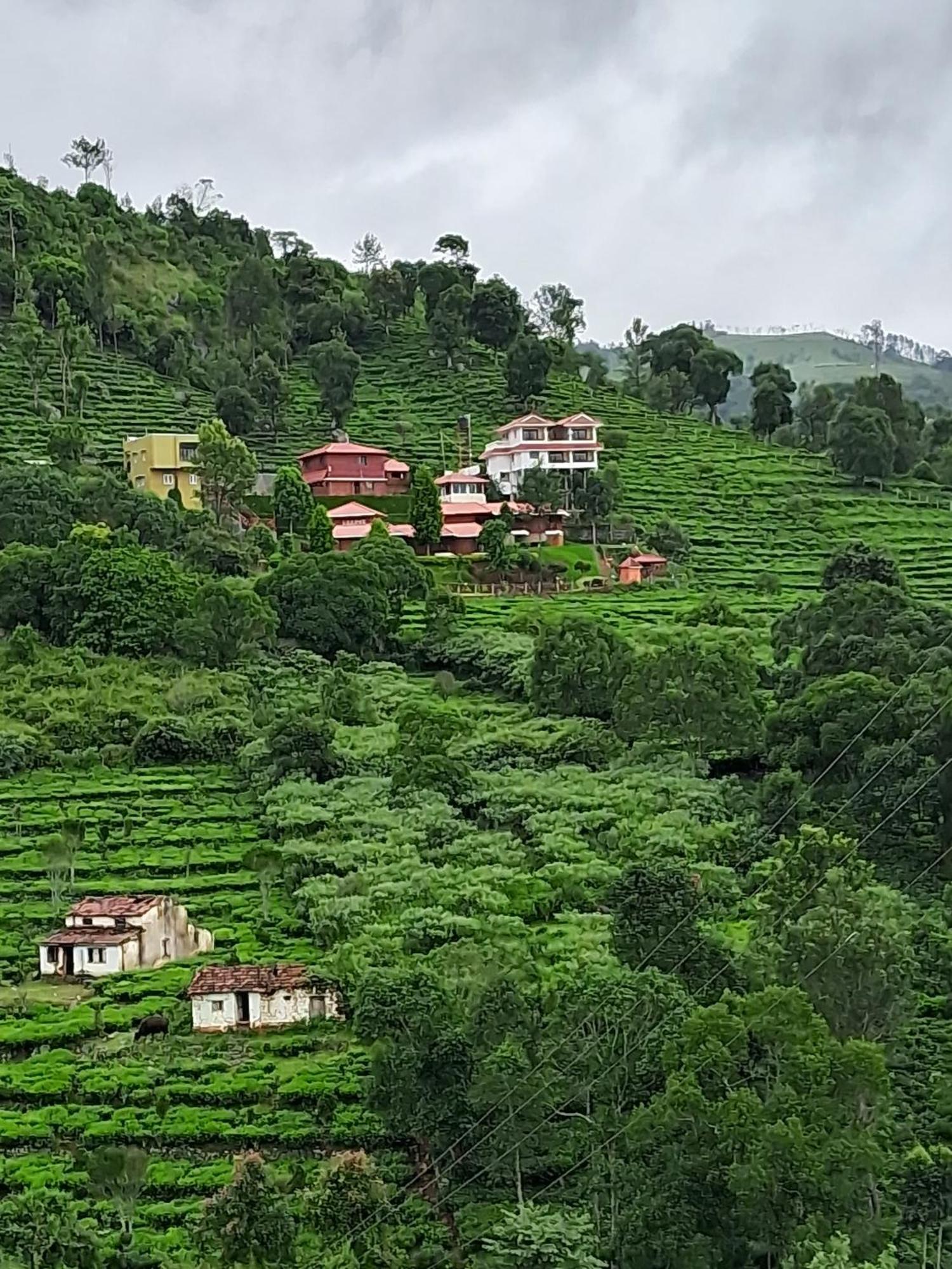 The Royale Ridge Hotel Kotagiri Kültér fotó