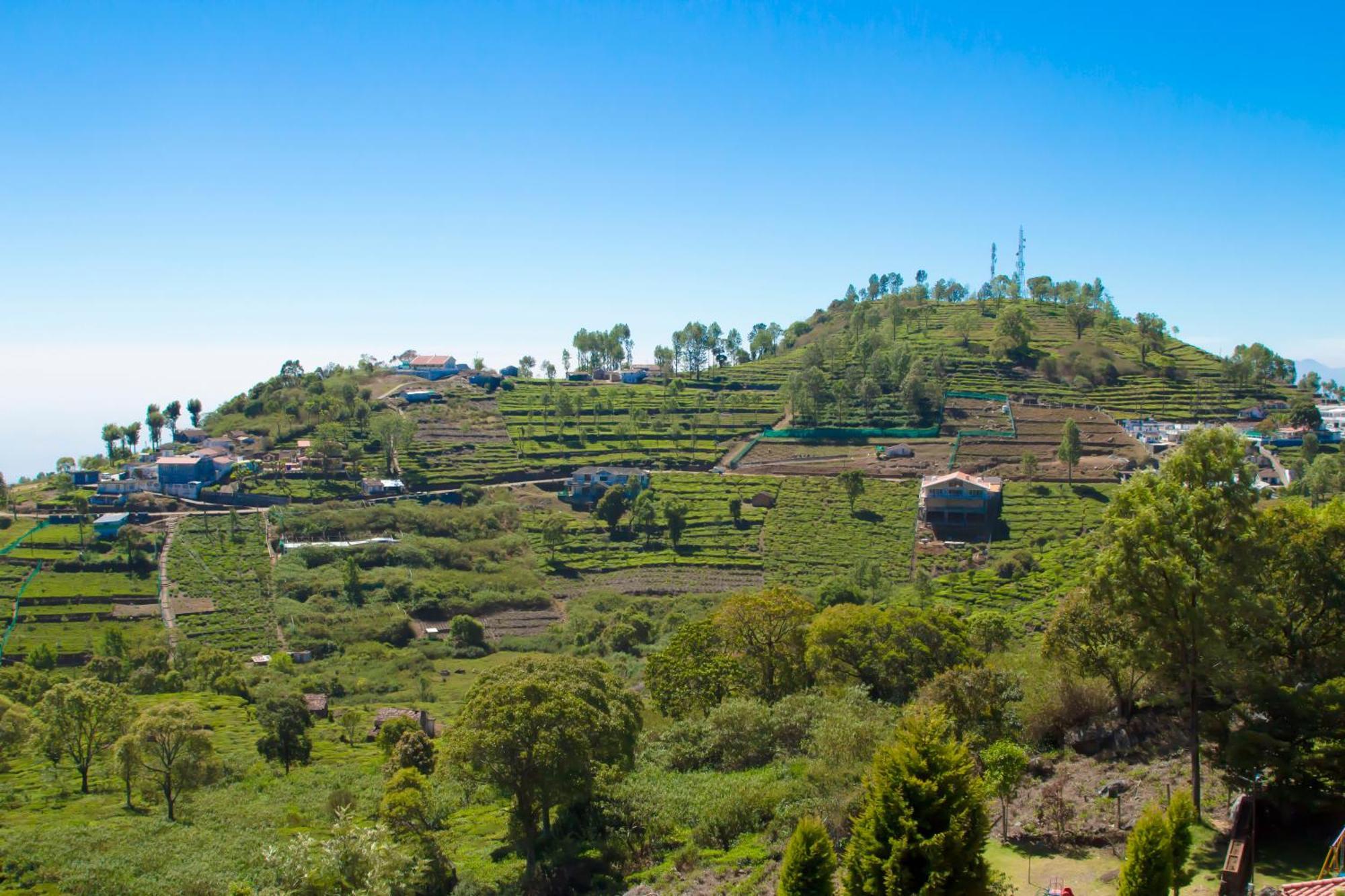 The Royale Ridge Hotel Kotagiri Kültér fotó