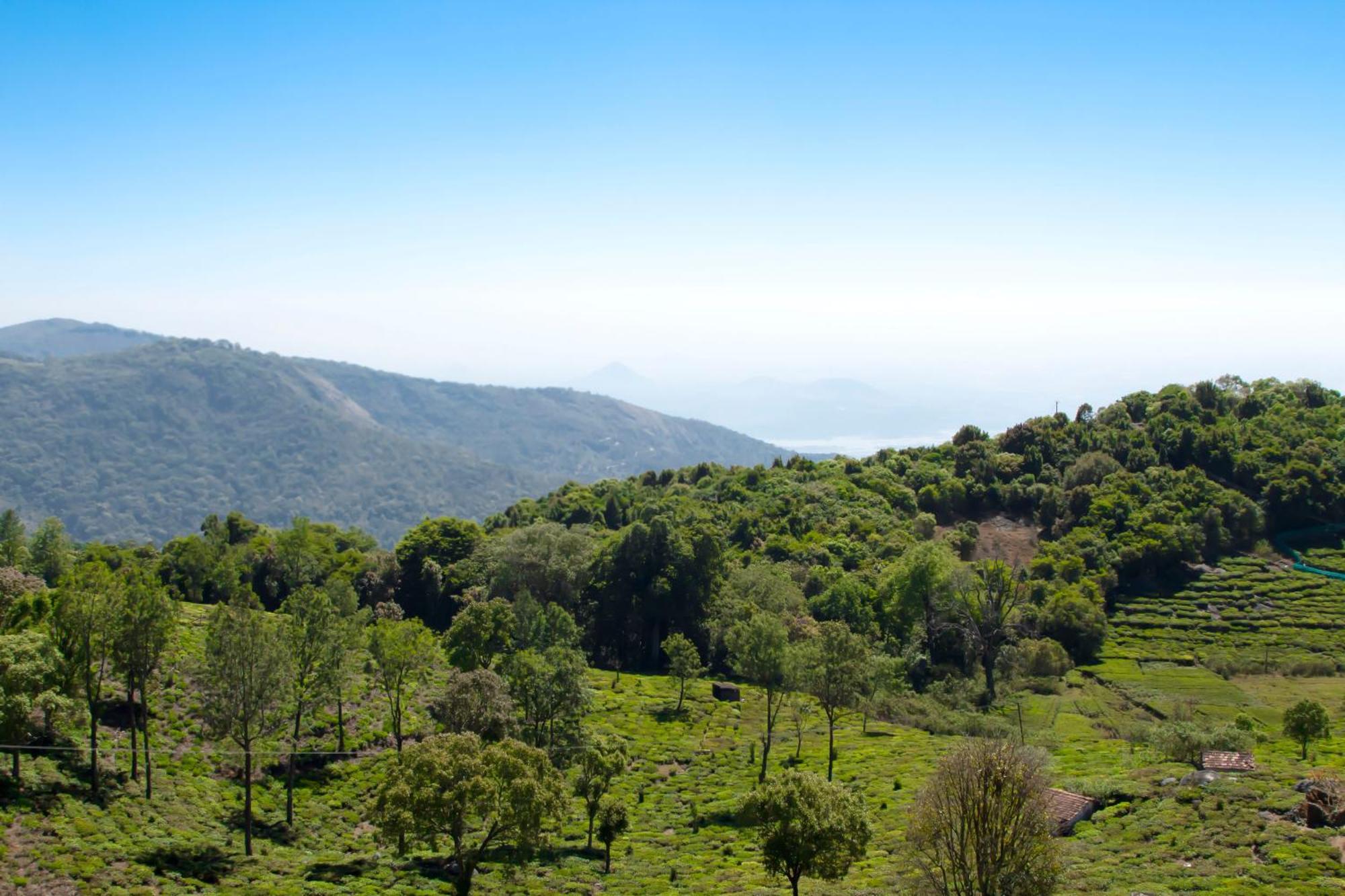 The Royale Ridge Hotel Kotagiri Kültér fotó